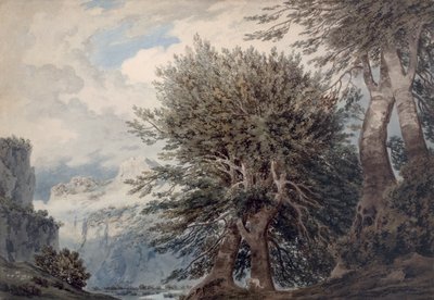 Mountainous Landscape with Beech Trees by John Robert Cozens